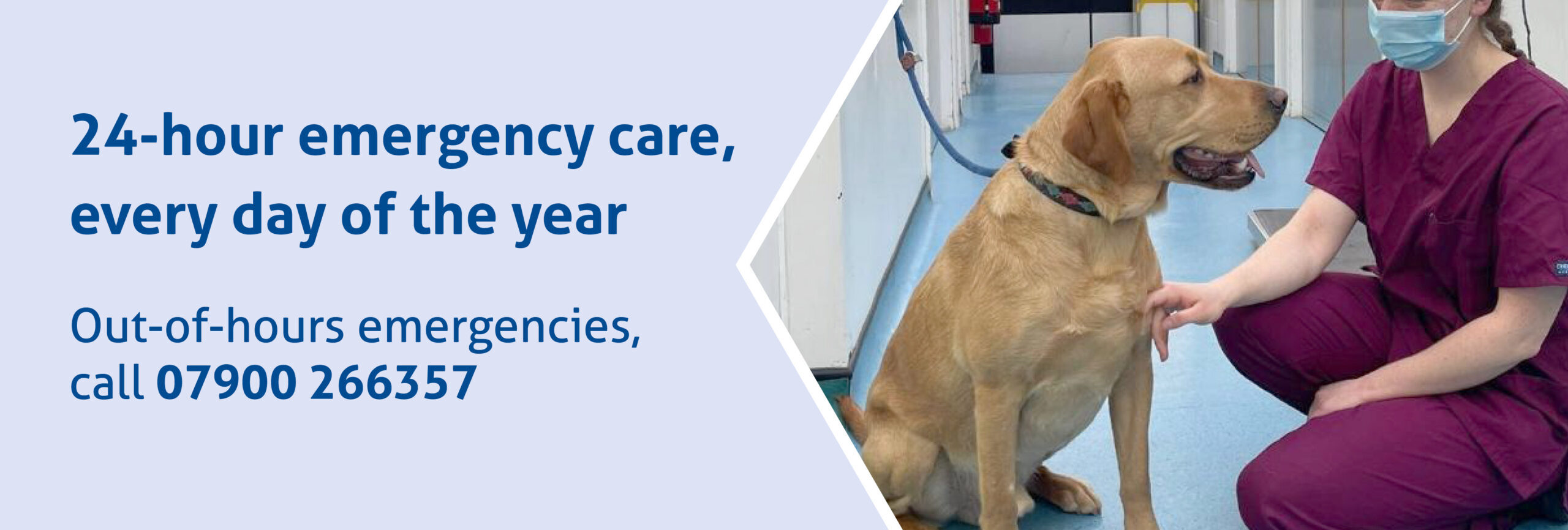24 hour emergency care every day of the year. Call: 01449 613130